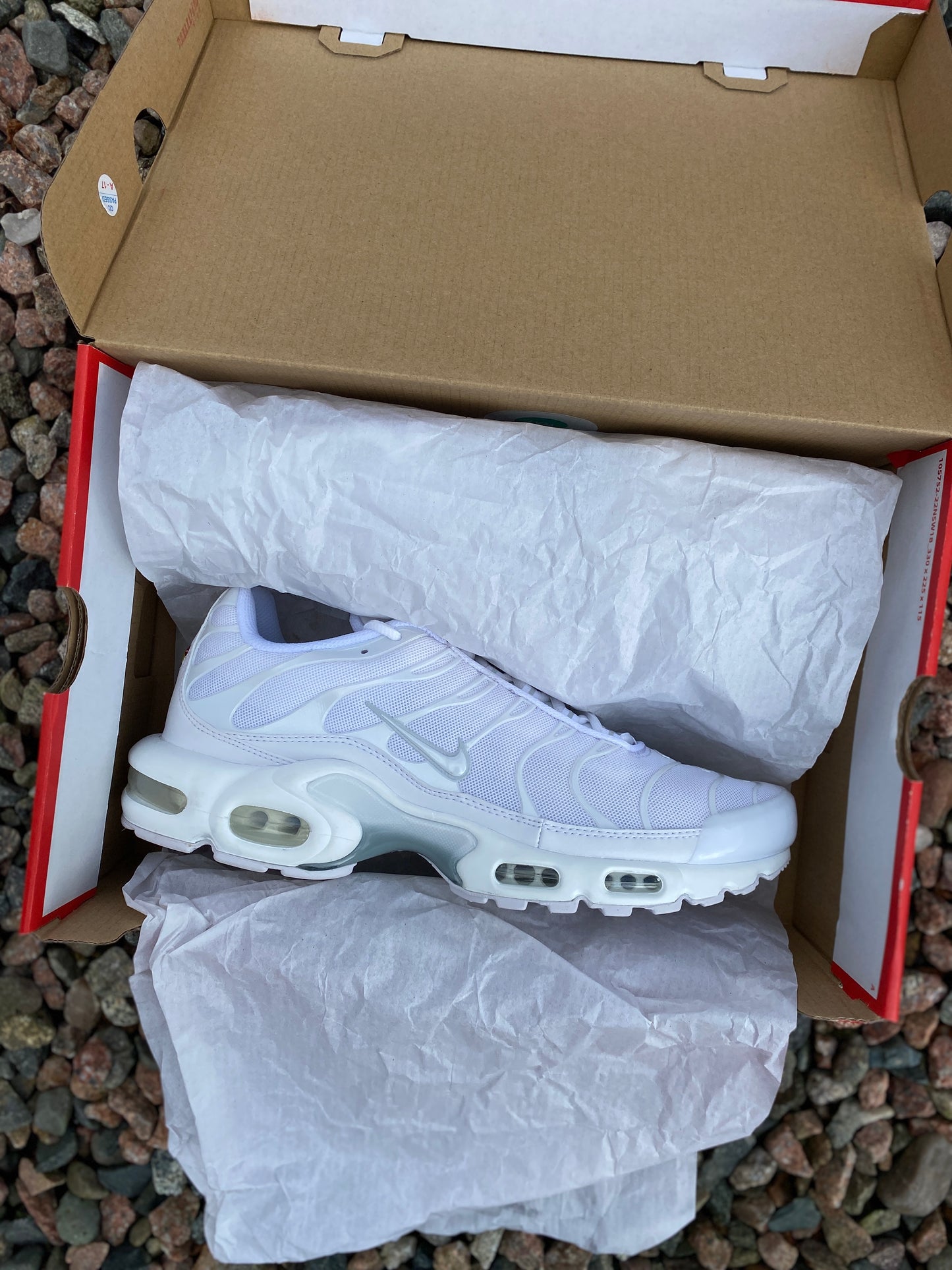 Nike Air Max Plus Tn ‘Pure Platinum’